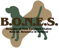 B.O.N.E.S. Home