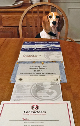 Bella's Good Deeds - December, 2016