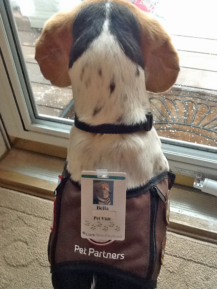 Bella's Good Deeds - March, 2017