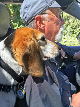 Bella's Good Deeds - September, 2017: Back to School, Back to Work