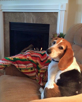 Bella's Good Deeds - January, 2018: Reflecting on the Past Year