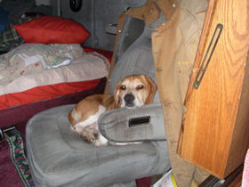 Hudson's Chronicles - March 2007