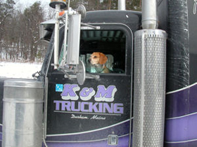 Hudson's Chronicles - March 2007