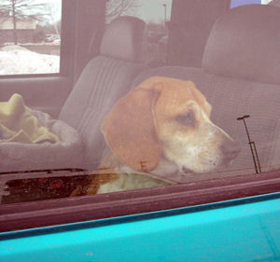 Hudson's Chronicles - March 2007