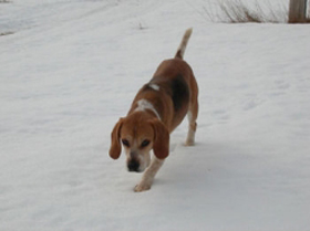 Hudson's Chronicles - April 2007