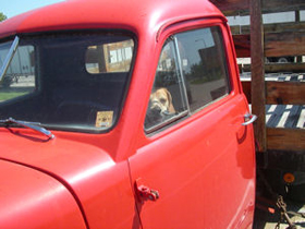 Hudson's Chronicles - June 2007