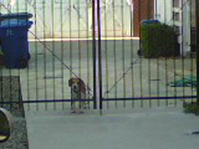 Hudson's Chronicles - September 2007