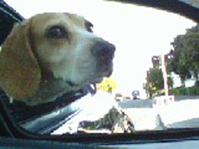 Hudson's Chronicles - September 2007