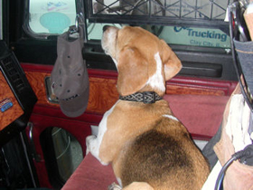 Hudson's Chronicles - October 2007