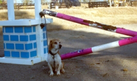 Hudson's Chronicles - March 2008