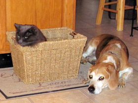 Hudson's Chronicles - May, 2014