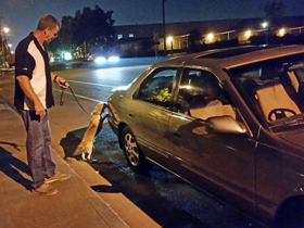 Hudson's Chronicles - August, 2014