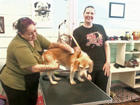 Hudson's Chronicles - August, 2014