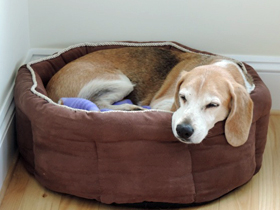 Hudson's Chronicles - September, 2014