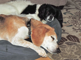 Hudson's Chronicles - September, 2014