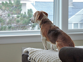 Hudson's Chronicles - September, 2014