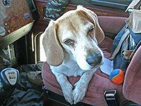 Hudson's Chronicles - December, 2014