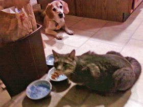 Hudson's Chronicles - February, 2015