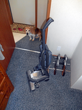 Hudson's Chronicles - April, 2015