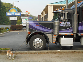 Hudson's Chronicles - May, 2015