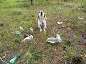 Hudson's Chronicles - May, 2015