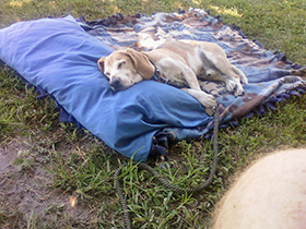 Hudson's Chronicles - July, 2015