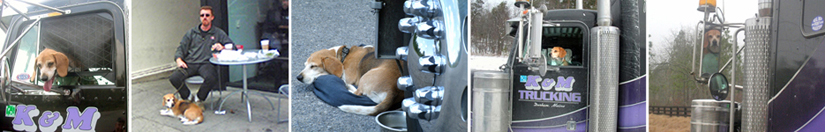 Hudson's Chronicles - August, 2015