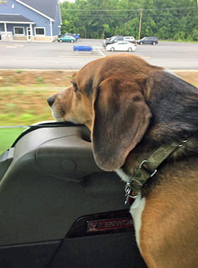 Mackey in the Cab - December, 2016