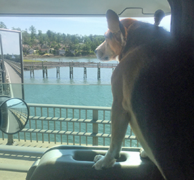 Mackey in the Cab - December, 2016