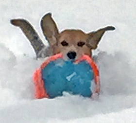 Mackey in the Cab - March, 2017