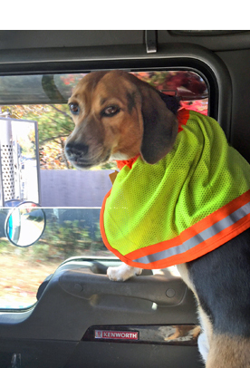 Mackey in the Cab - November, 2017