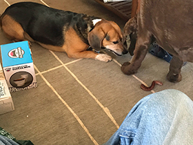 Mackey in the Cab - January, 2018