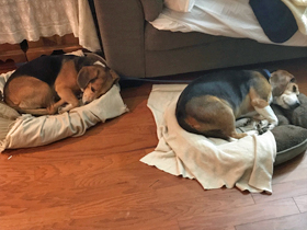 Mackey in the Cab - January, 2018