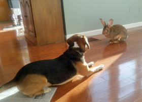 Mackey in the Cab - January, 2018