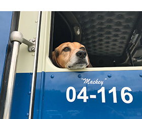 Mackey in the Cab - July, 2018