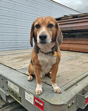 Mackey in the Cab - December, 2018 - Happy Holidays!
