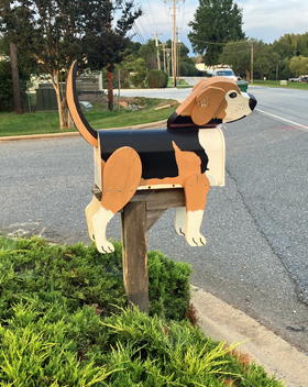 Mackey in the Cab - October, 2024