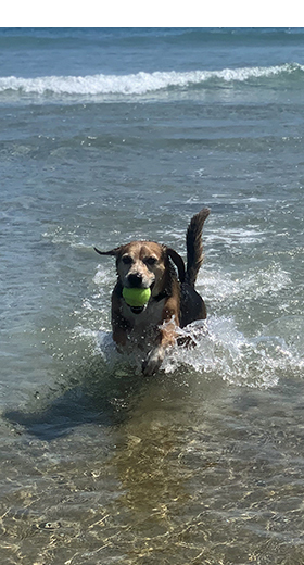 Mackey in the Cab - June, 2025