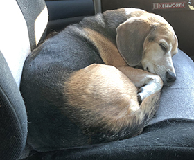 Mackey in the Cab - August, 2025