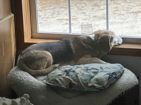 Mackey in the Cab - October, 2025