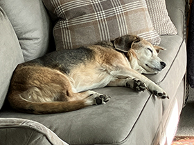 Mackey in the Cab - October, 2025