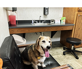 Mackey in the Cab - November, 2025