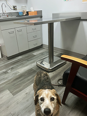 Mackey in the Cab - March, 2026