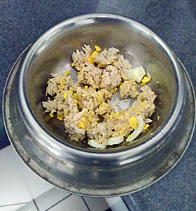 Mackey in the Cab - March, 2026