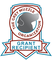 The Grey Muzzle Organization
