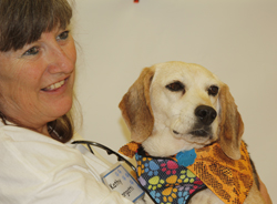 The 10th Annual B.O.N.E.S. Beagle Bash - What a Day!