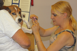 The 10th Annual B.O.N.E.S. Beagle Bash - What a Day!