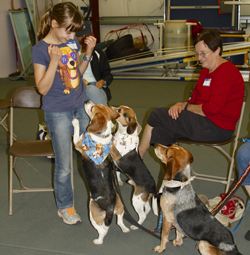 The 10th Annual B.O.N.E.S. Beagle Bash - What a Day!