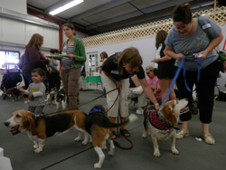 The 10th Annual B.O.N.E.S. Beagle Bash - What a Day!