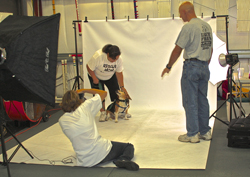 The 10th Annual B.O.N.E.S. Beagle Bash - What a Day!